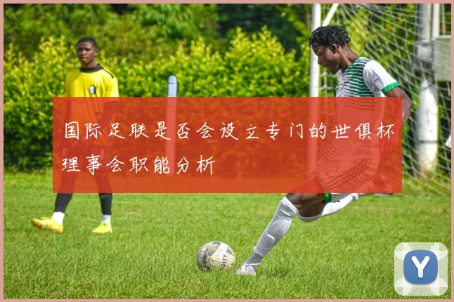 国际足联是否会设立专门的世俱杯理事会职能分析