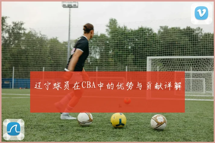辽宁球员在CBA中的优势与贡献详解
