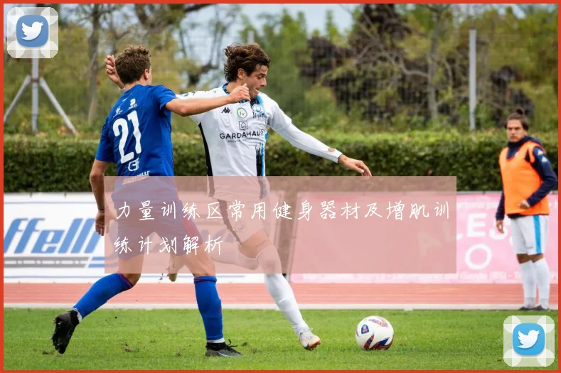 力量训练区常用健身器材及增肌训练计划解析