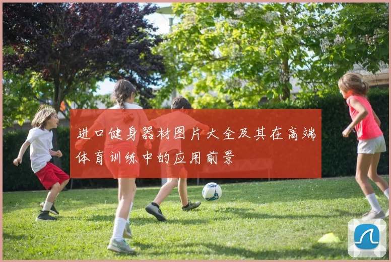 进口健身器材图片大全及其在高端体育训练中的应用前景